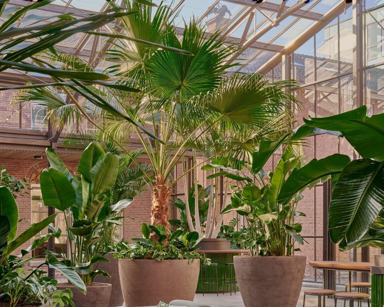 Breda Botanique Chassékazerne botanical glasshouse