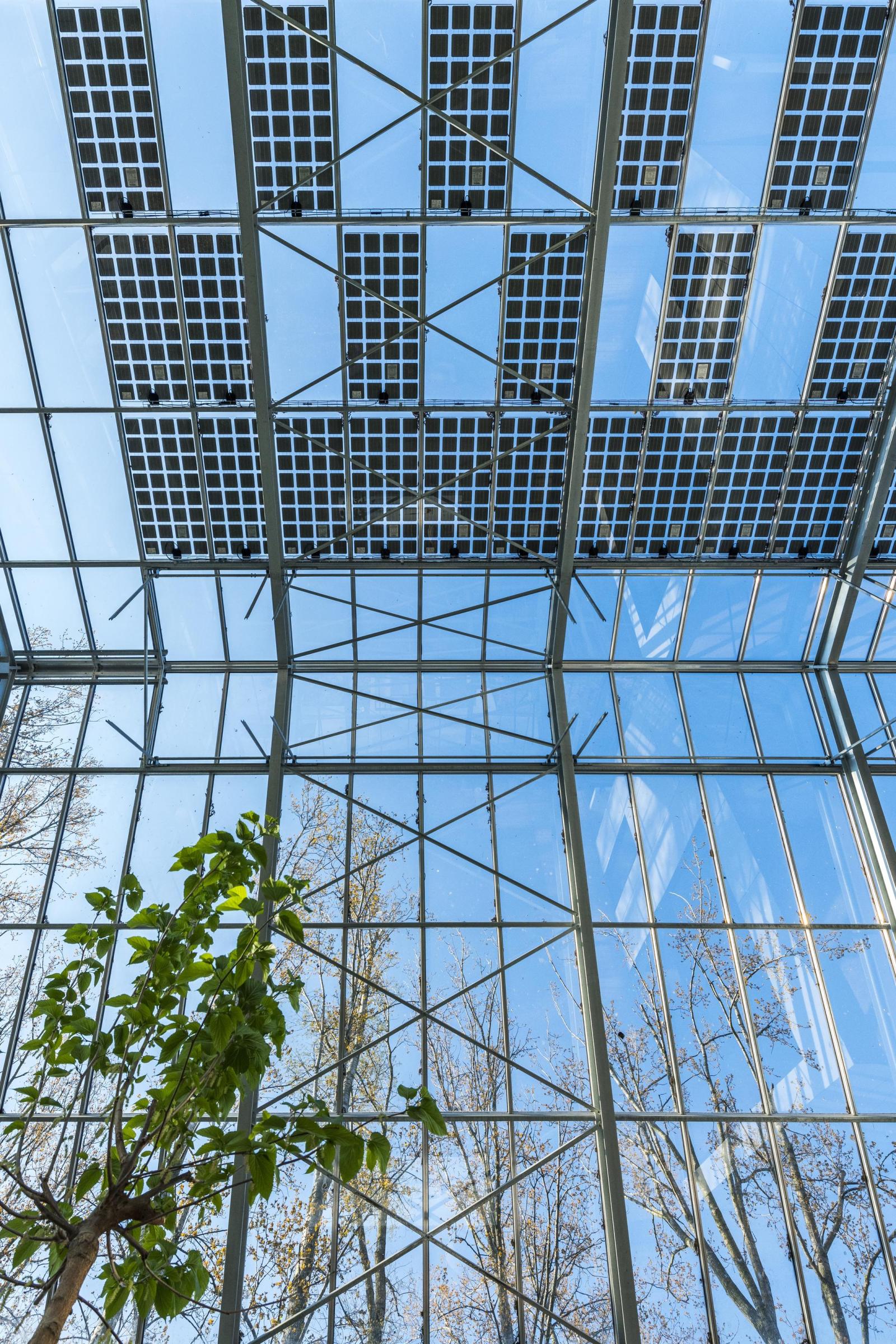 A house within a greenhouse